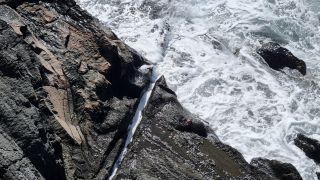 2024-01-Paseo_Costa_Canaria-San_Agustin-Ingles-069.jpg